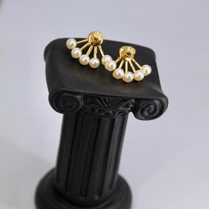 Dior earrings AAA clone