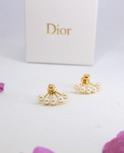 Dior earrings AAA clone