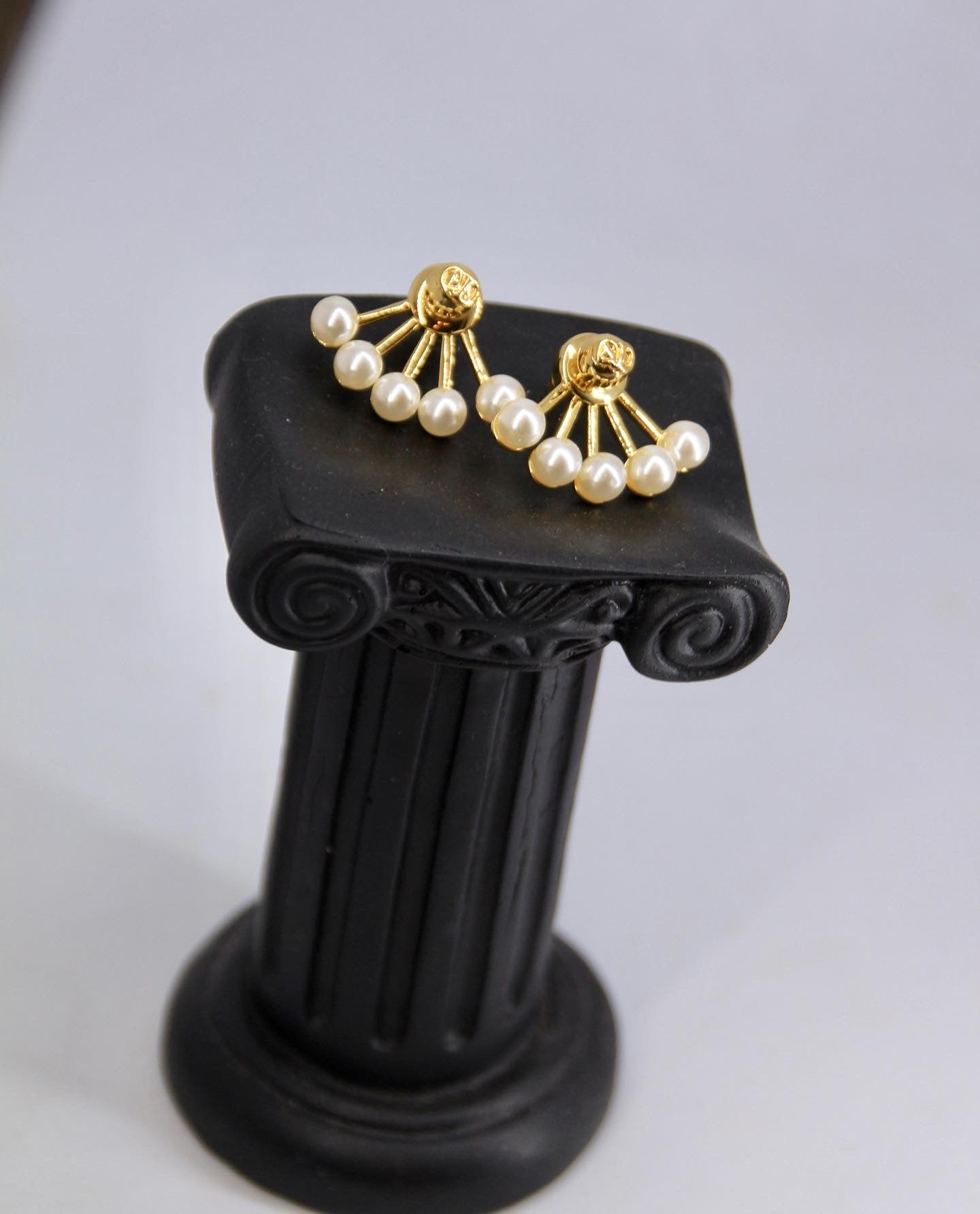 Dior earrings AAA clone