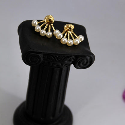 Dior earrings AAA clone