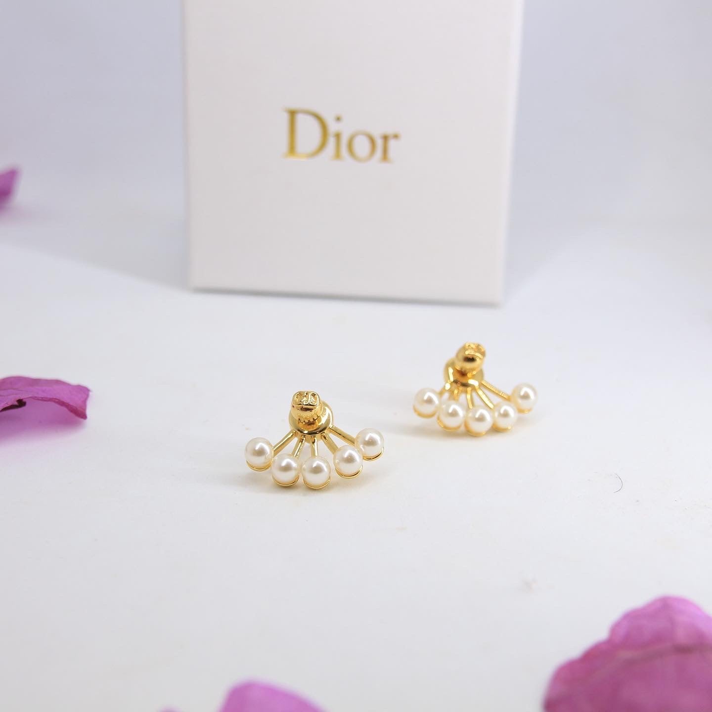 Dior earrings AAA clone